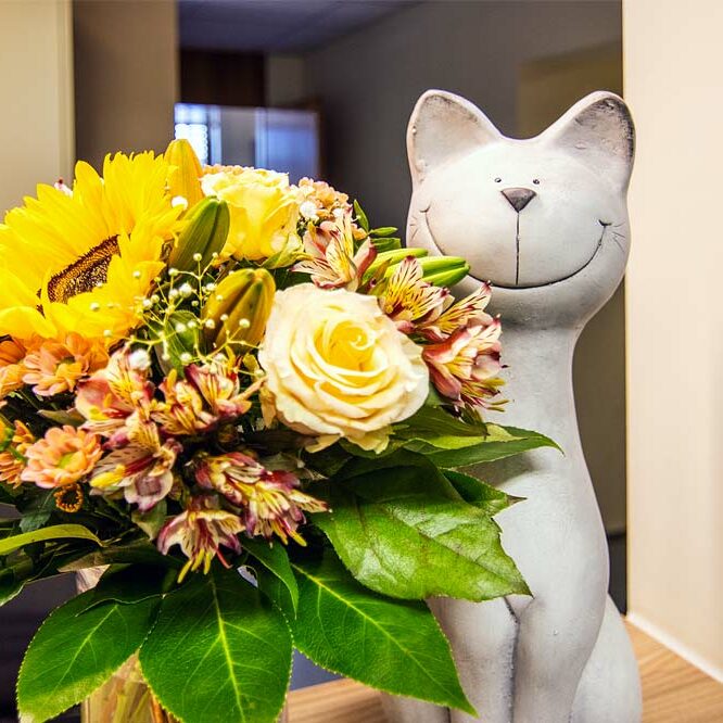 Kleintierpraxis Benitz